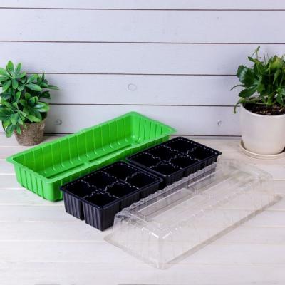 Мини-парник 40*16*13см 4001632