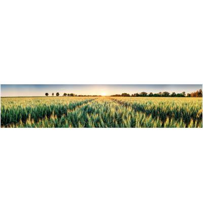 0187 Декоративные панели МДФ PANDA