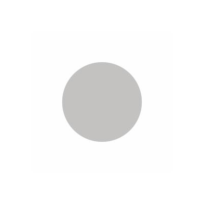 .WS295 Заглушка самоклеющаяся Серый (48шт/лист, d20, UP)