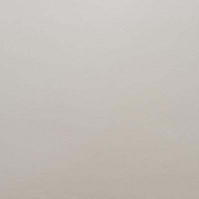 ДАНА 1014 Столешница 3050*600*38мм 1U ВЛГ Серый