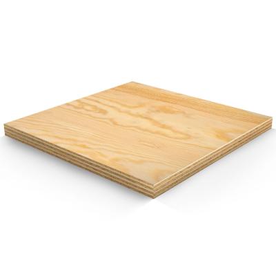 Полоса 12мм. 300*300