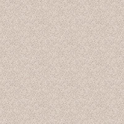 ДАНА 4042 Столешница 3050*600*38мм 1U ВЛГ Гренобль