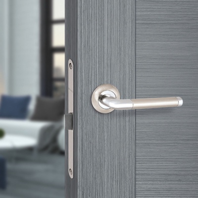 Ручка раздельная R.TL54.REX SN/CP-3 матовый никель/хром